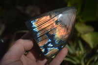 Polished Labradorite Standing Free Forms  x 6 From Madagascar - Toprock Gemstones and Minerals 