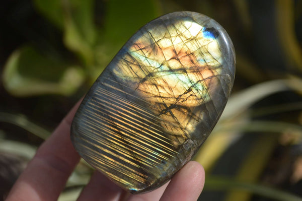 Polished Labradorite Standing Free Forms  x 6 From Madagascar - Toprock Gemstones and Minerals 