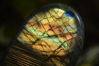 Polished Labradorite Standing Free Forms  x 6 From Madagascar - Toprock Gemstones and Minerals 