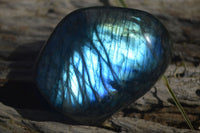 Polished Labradorite Standing Free Forms  x 6 From Madagascar - Toprock Gemstones and Minerals 