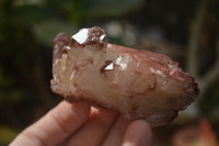 Natural Red Hematoid Quartz Clusters x 12 From Karoi, Zimbabwe - Toprock Gemstones and Minerals 