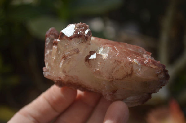 Natural Red Hematoid Quartz Clusters x 12 From Karoi, Zimbabwe - Toprock Gemstones and Minerals 