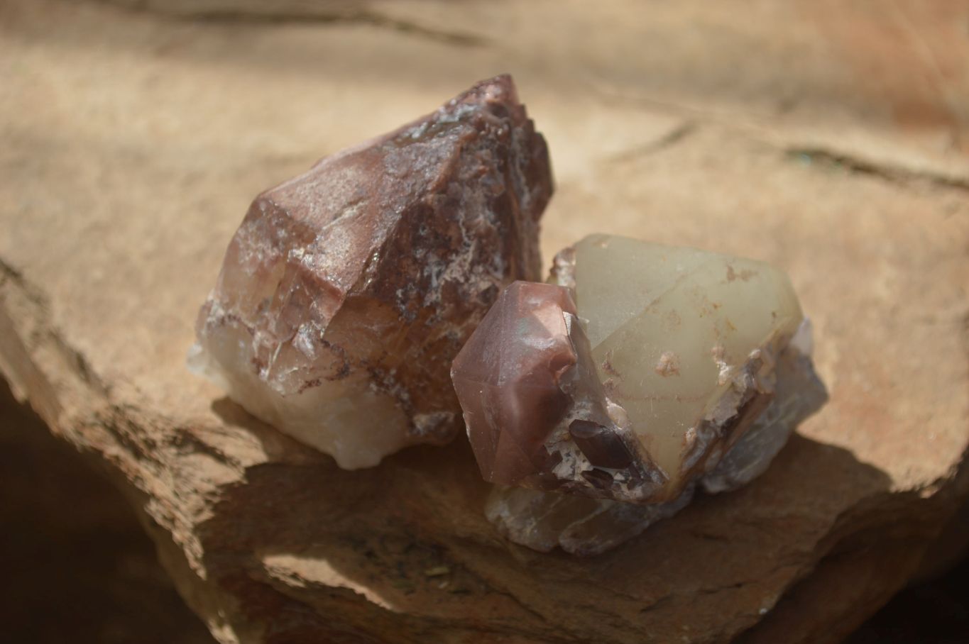 Natural Red Hematoid Quartz Clusters x 12 From Karoi, Zimbabwe - Toprock Gemstones and Minerals 