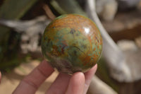 Polished Green Chrysoprase Spheres  x 4 From Madagascar - Toprock Gemstones and Minerals 