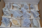 Natural Etched Blue Chalcedony Specimens  x 12 From Nsanje, Malawi - Toprock Gemstones and Minerals 