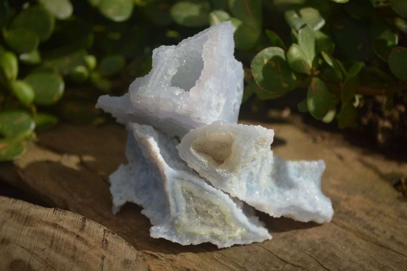 Natural Etched Blue Chalcedony Specimens  x 12 From Nsanje, Malawi - Toprock Gemstones and Minerals 