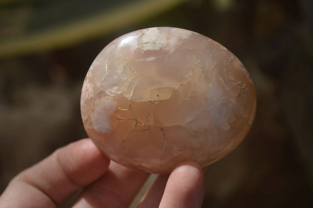 Polished Ocean Flower Agate Gallets  x 6 From Madagascar - Toprock Gemstones and Minerals 