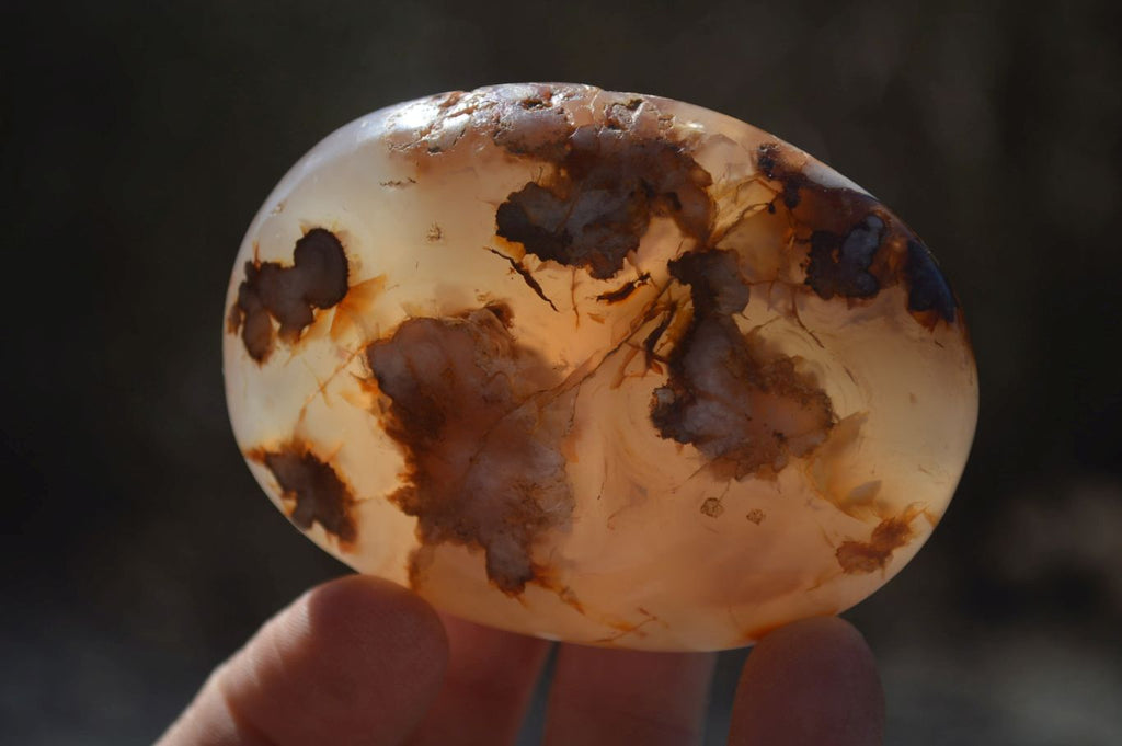 Polished Ocean Flower Agate Gallets  x 6 From Madagascar - Toprock Gemstones and Minerals 