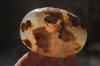Polished Ocean Flower Agate Gallets  x 6 From Madagascar - Toprock Gemstones and Minerals 