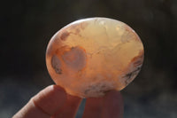 Polished Ocean Flower Agate Gallets  x 6 From Madagascar - Toprock Gemstones and Minerals 