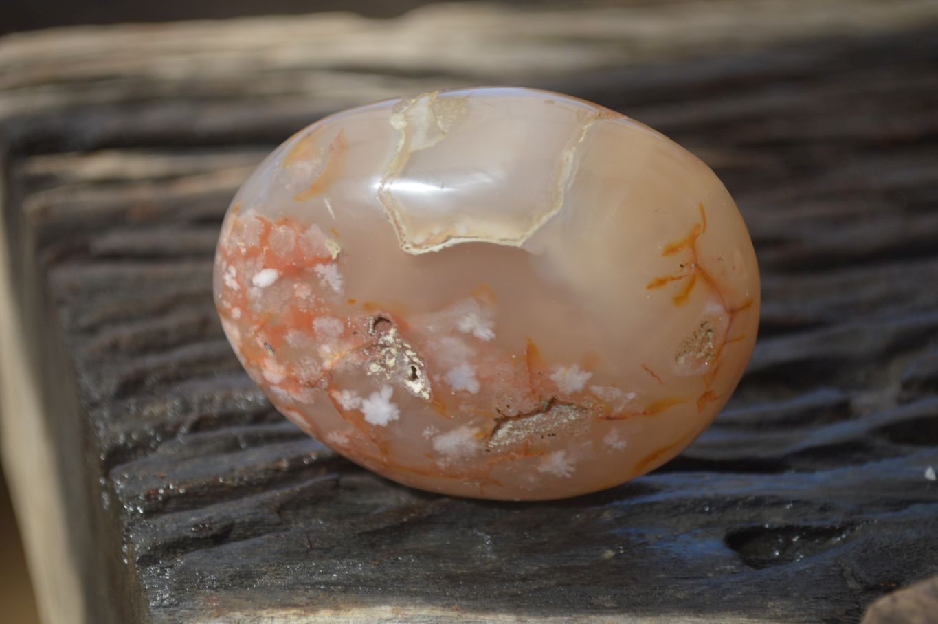 Polished Ocean Flower Agate Gallets  x 6 From Madagascar - Toprock Gemstones and Minerals 