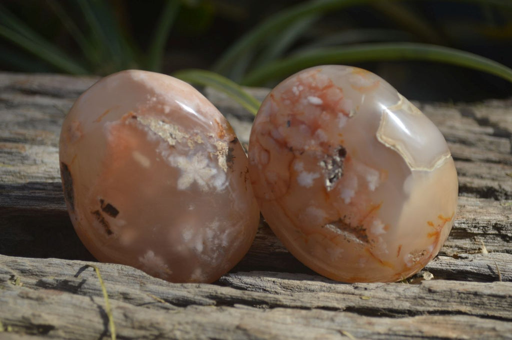 Polished Ocean Flower Agate Gallets  x 6 From Madagascar - Toprock Gemstones and Minerals 