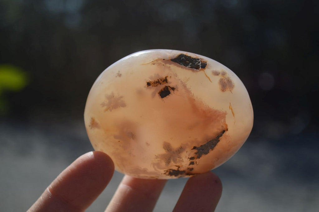 Polished Ocean Flower Agate Gallets  x 6 From Madagascar - Toprock Gemstones and Minerals 