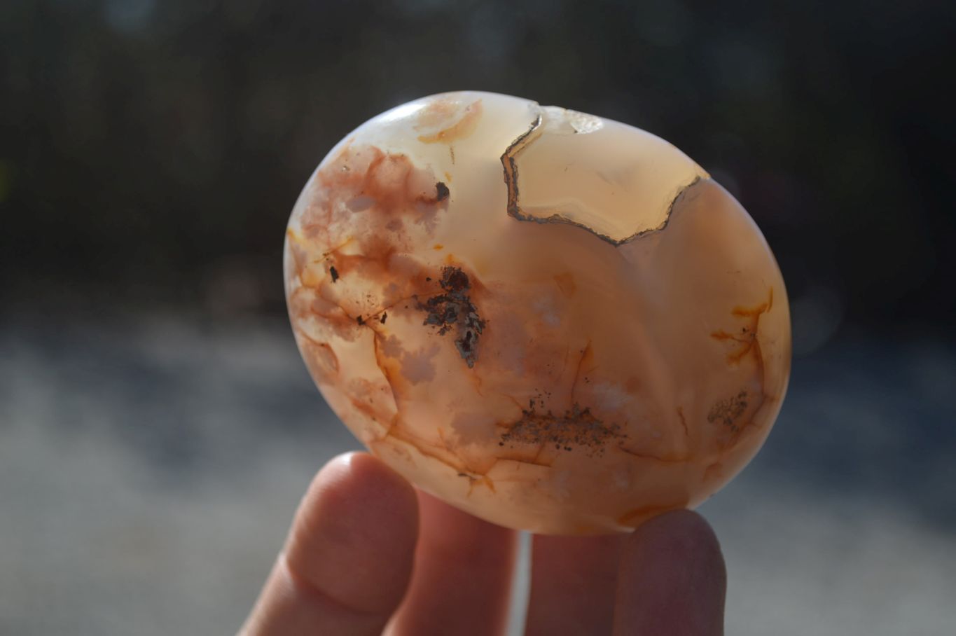 Polished Ocean Flower Agate Gallets  x 6 From Madagascar - Toprock Gemstones and Minerals 