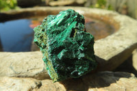 Natural Chatoyant Silky Malachite Specimens  x 12 From Kasompe, Congo - Toprock Gemstones and Minerals 