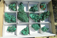 Natural Chatoyant Silky Malachite Specimens  x 12 From Kasompe, Congo - Toprock Gemstones and Minerals 
