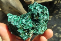 Natural Chatoyant Silky Malachite Specimens  x 12 From Kasompe, Congo - Toprock Gemstones and Minerals 