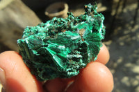 Natural Chatoyant Silky Malachite Specimens  x 12 From Kasompe, Congo - Toprock Gemstones and Minerals 
