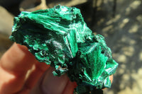 Natural Chatoyant Silky Malachite Specimens  x 12 From Kasompe, Congo - Toprock Gemstones and Minerals 