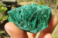 Natural Chatoyant Silky Malachite Specimens  x 12 From Kasompe, Congo - Toprock Gemstones and Minerals 