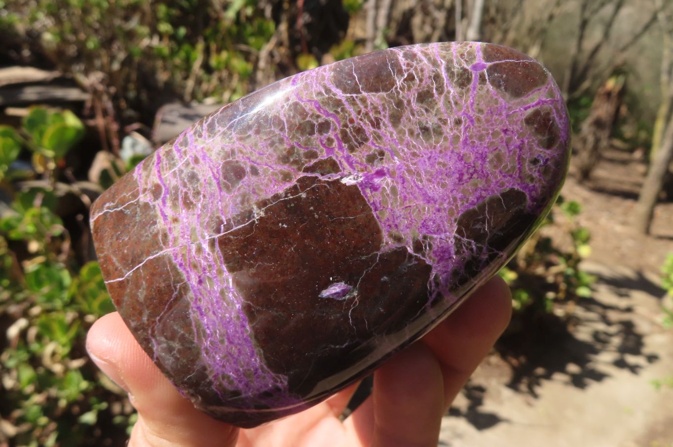 Polished Stichtite & Serpentine Items x 5 From Barberton, South Africa - Toprock Gemstones and Minerals 