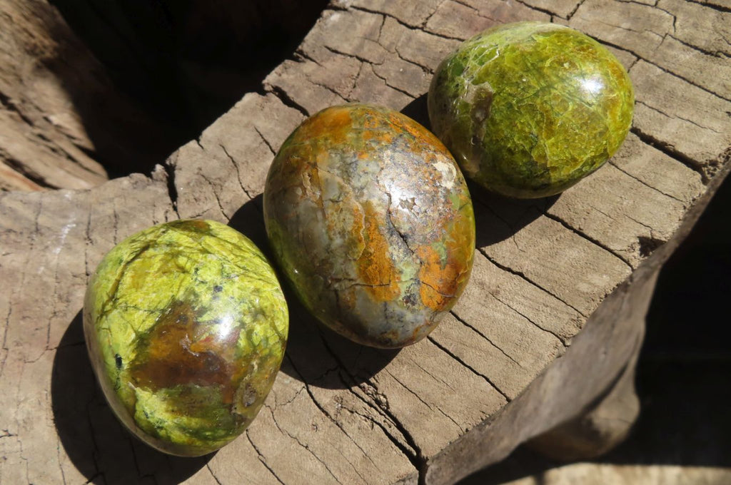 Polished Green Opal Gallets  x 16 From Antsirabe, Madagascar - Toprock Gemstones and Minerals 