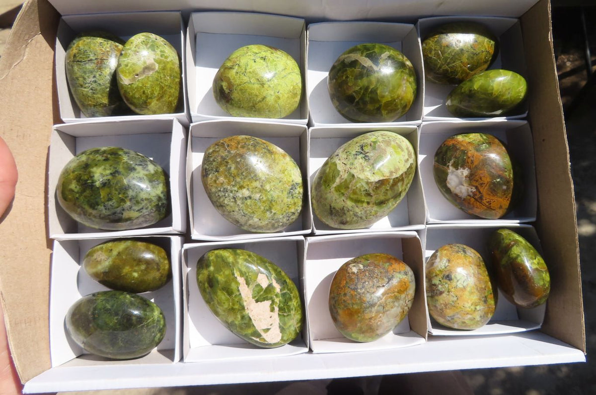 Polished Green Opal Gallets  x 16 From Antsirabe, Madagascar - Toprock Gemstones and Minerals 