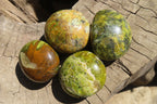 Polished Green Opal Gallets  x 16 From Antsirabe, Madagascar - Toprock Gemstones and Minerals 