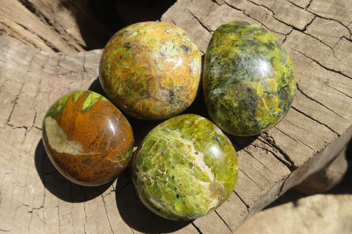 Polished Green Opal Gallets  x 16 From Antsirabe, Madagascar - Toprock Gemstones and Minerals 