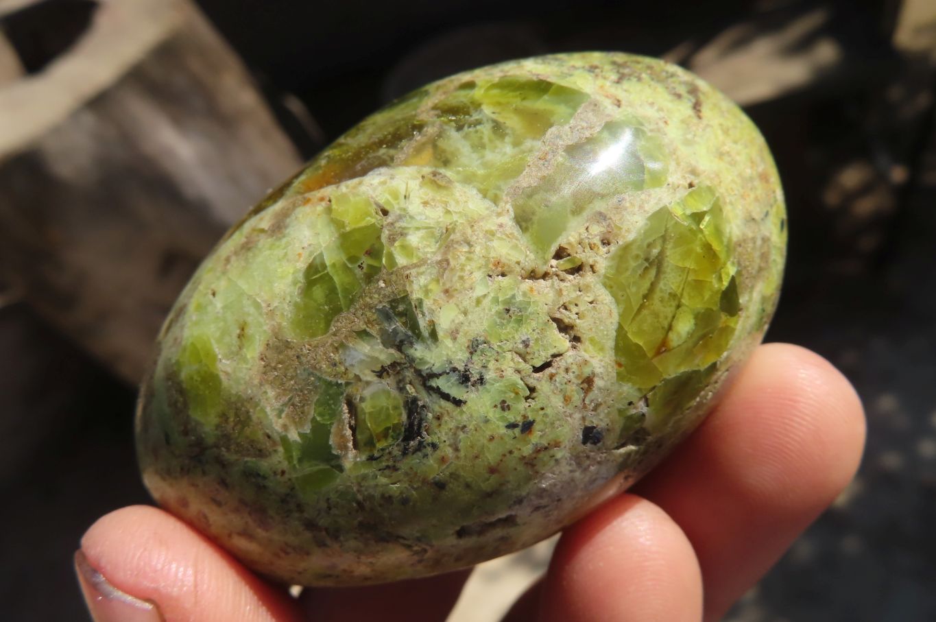 Polished Green Opal Gallets  x 16 From Antsirabe, Madagascar - Toprock Gemstones and Minerals 