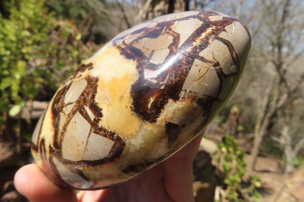 Polished Septaria Standing Free Forms x 2 From Mahajanga, Madagascar - Toprock Gemstones and Minerals 