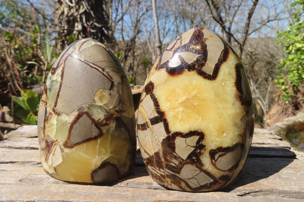 Polished Septaria Standing Free Forms x 2 From Mahajanga, Madagascar - Toprock Gemstones and Minerals 