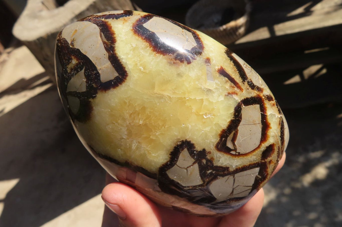 Polished Septaria Standing Free Forms x 2 From Mahajanga, Madagascar - Toprock Gemstones and Minerals 