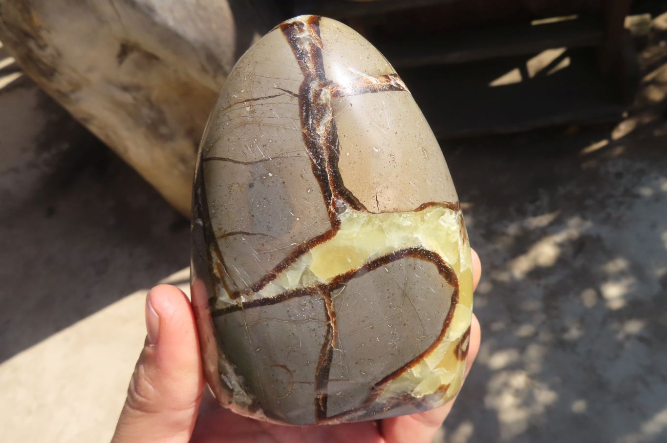 Polished Septaria Standing Free Forms x 2 From Mahajanga, Madagascar - Toprock Gemstones and Minerals 