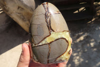 Polished Septaria Standing Free Forms x 2 From Mahajanga, Madagascar - Toprock Gemstones and Minerals 