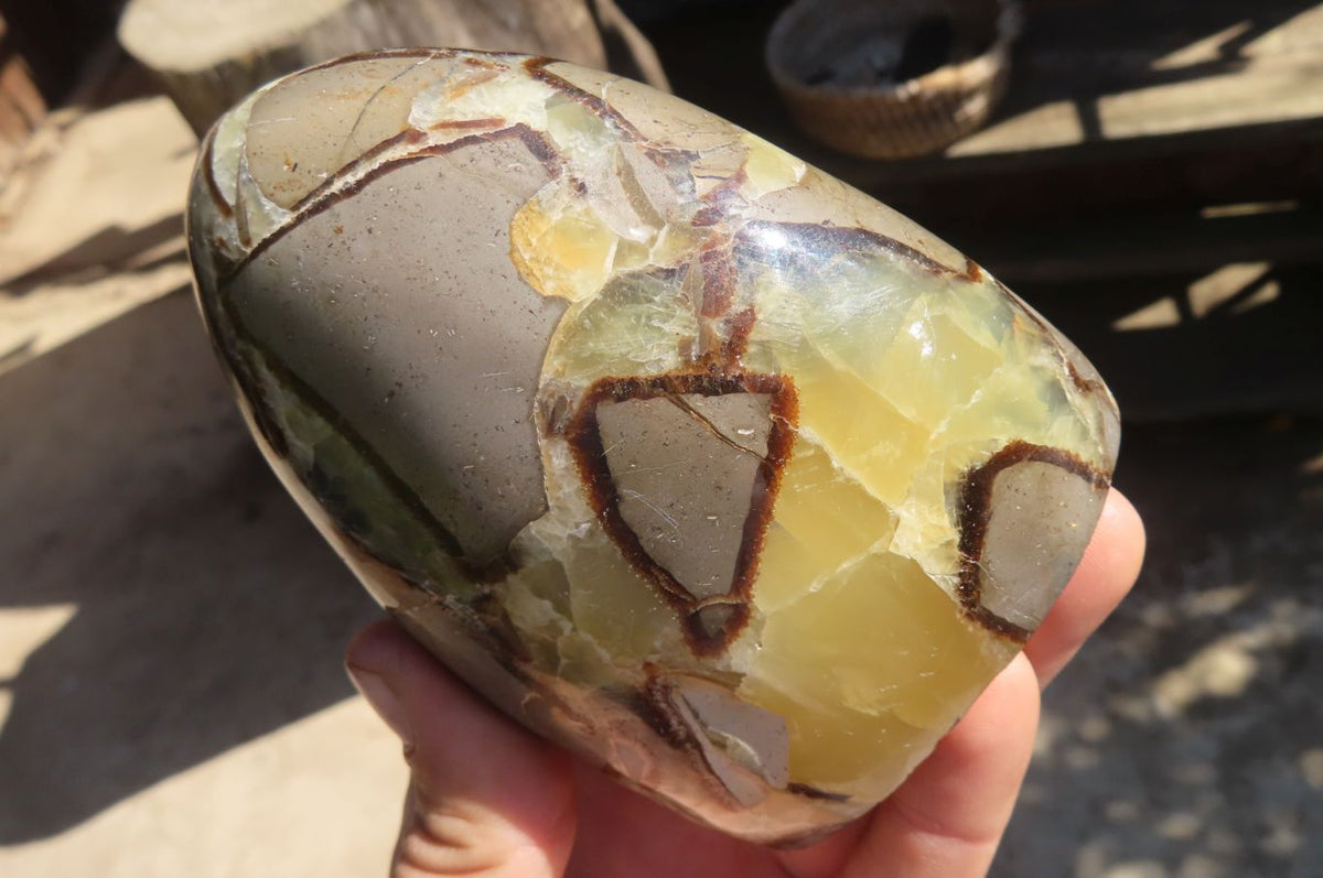 Polished Septaria Standing Free Forms x 2 From Mahajanga, Madagascar - Toprock Gemstones and Minerals 