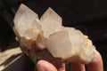 Natural Smokey Phantom Quartz Clusters x 6 From Luena, Congo - Toprock Gemstones and Minerals 
