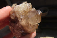 Natural Smokey Phantom Quartz Clusters x 6 From Luena, Congo - Toprock Gemstones and Minerals 