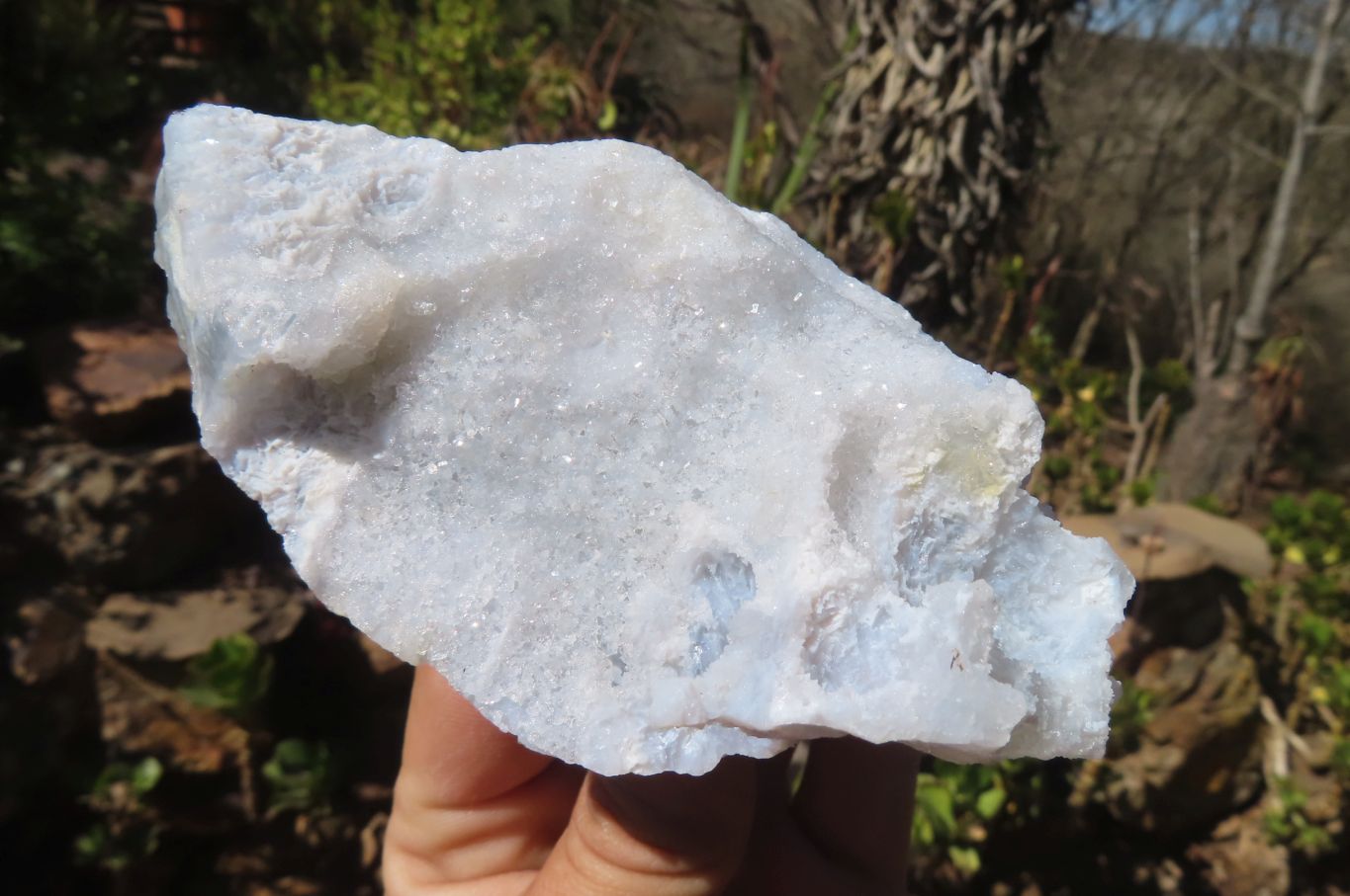 Natural Etched Blue Chalcedony Specimens  x 3 From Nsanje, Malawi - Toprock Gemstones and Minerals 