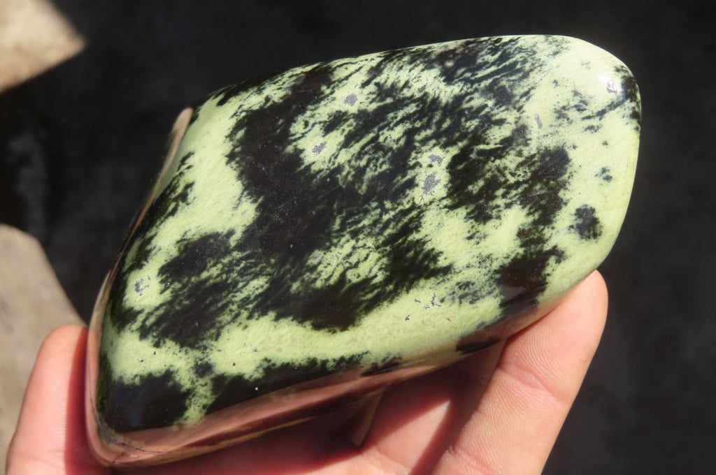 Polished Leopard Stone Free Forms  x 3 From Inyanga, Zimbabwe - Toprock Gemstones and Minerals 