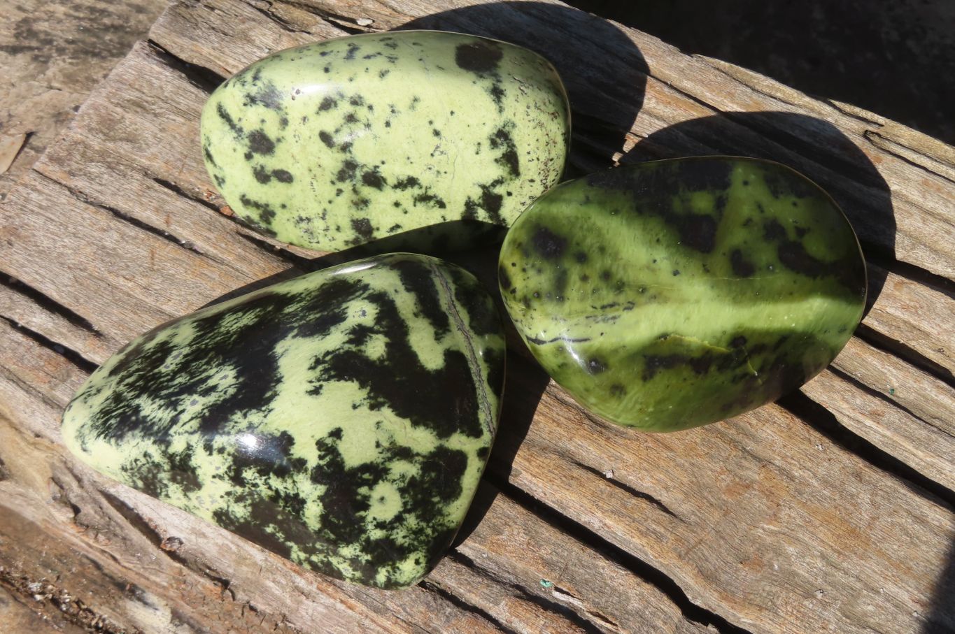 Polished Leopard Stone Free Forms  x 3 From Inyanga, Zimbabwe - Toprock Gemstones and Minerals 