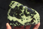 Polished Leopard Stone Free Forms  x 3 From Inyanga, Zimbabwe - Toprock Gemstones and Minerals 