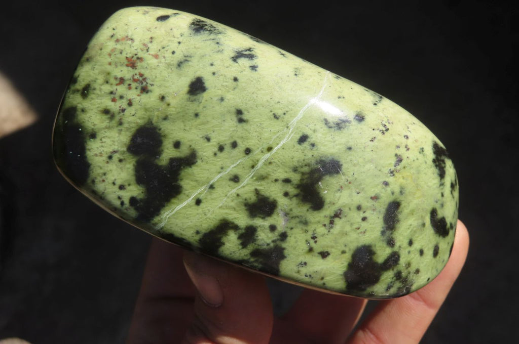 Polished Leopard Stone Free Forms  x 3 From Inyanga, Zimbabwe - Toprock Gemstones and Minerals 