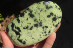 Polished Leopard Stone Free Forms  x 3 From Inyanga, Zimbabwe - Toprock Gemstones and Minerals 