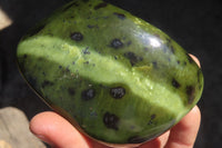 Polished Leopard Stone Free Forms  x 3 From Inyanga, Zimbabwe - Toprock Gemstones and Minerals 