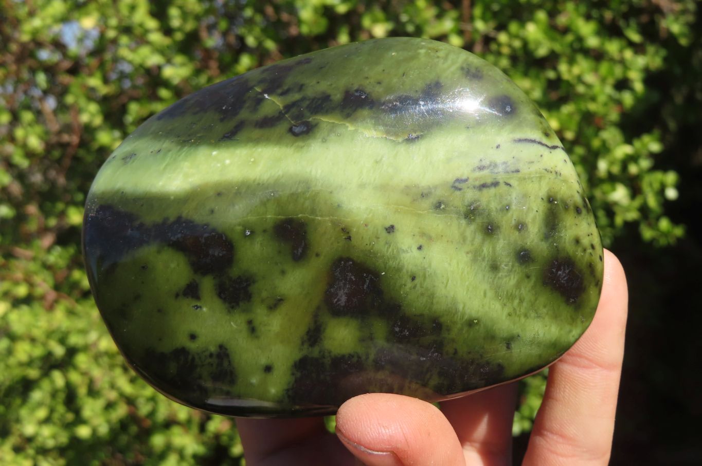 Polished Leopard Stone Free Forms  x 3 From Inyanga, Zimbabwe - Toprock Gemstones and Minerals 