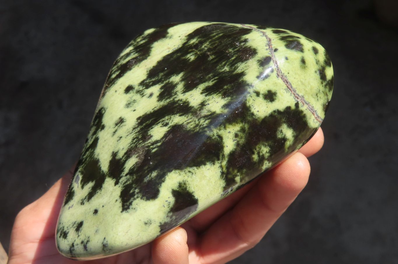 Polished Leopard Stone Free Forms  x 3 From Inyanga, Zimbabwe - Toprock Gemstones and Minerals 