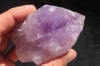 Natural Jacaranda Amethyst Crystals x 12 From Mumbwa, Zambia - Toprock Gemstones and Minerals 
