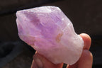 Natural Jacaranda Amethyst Crystals x 12 From Mumbwa, Zambia - Toprock Gemstones and Minerals 