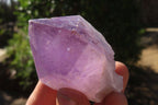 Natural Jacaranda Amethyst Crystals x 12 From Mumbwa, Zambia - Toprock Gemstones and Minerals 